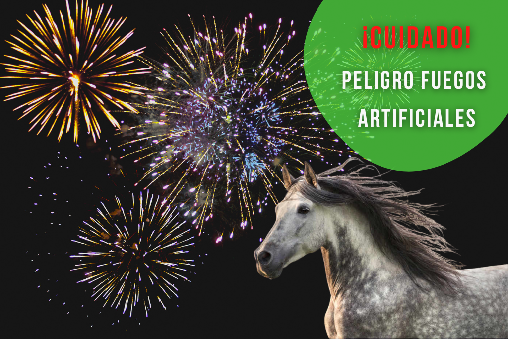 Peligro de los Fuegos artificiales